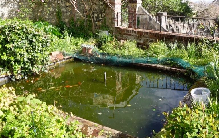 comment nettoyer un bassin à poissons 