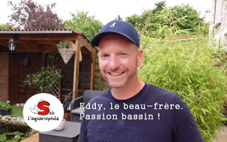Un passionné qui a construit de ses mains un superbe bassin de 30 m³ pour accueillir ses magnifiques carpes koi. Un jardin aquatique pensé a