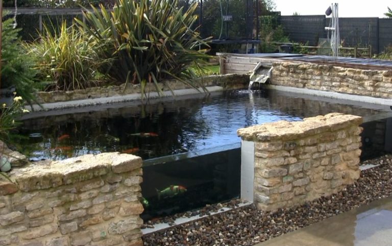Comment créer un bassin pour carpes koï et la filtration .