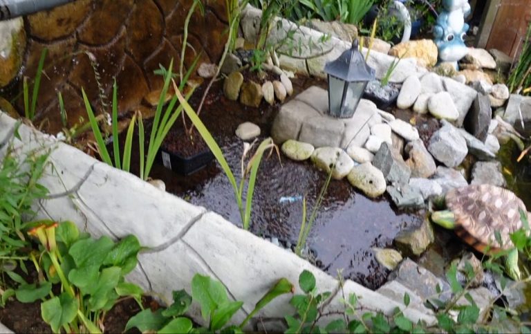 Dans cette vidéo, vous verrez étape par étape comment fabriquer une cascade pour bassin à poissons