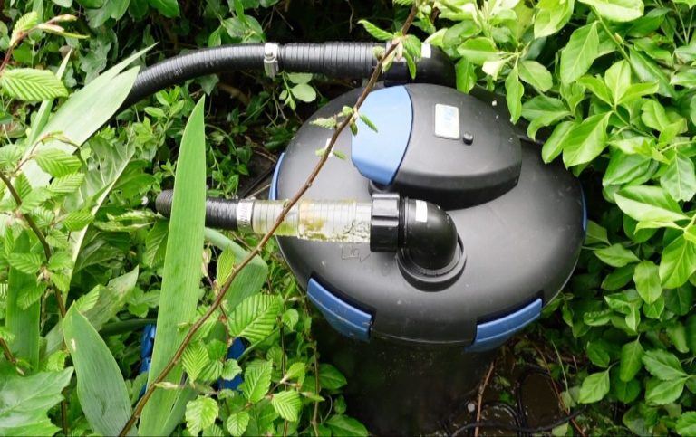 réfection totale du bassin. La pêche des poissons, vider le bassin et le nettoyer, remettre la filtration en état de fonctionnement